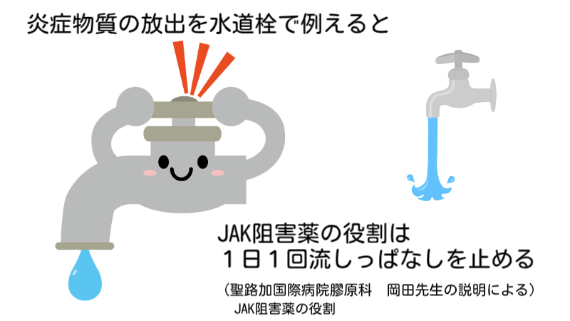 ジャック阻害薬の作用について