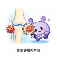 抗CCP抗体の見方