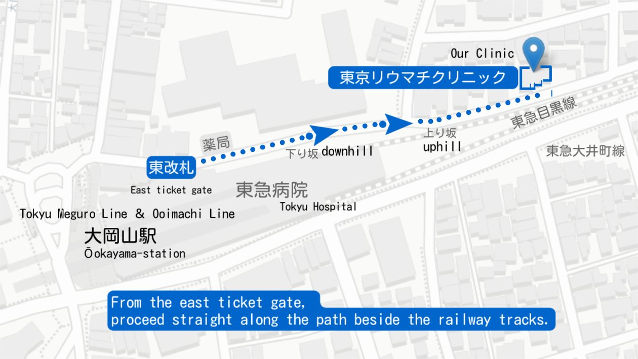 Ookayama Clinic Access Map