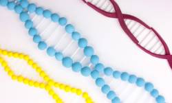 関節リウマチを学ぼう