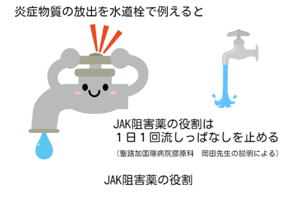 ジャック阻害薬の作用について