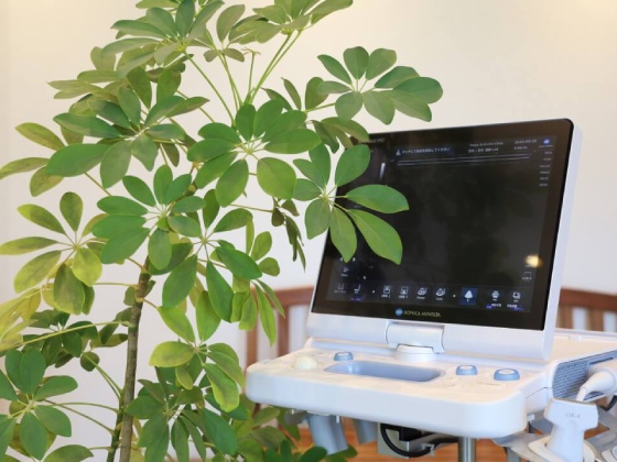 関節エコー検査装置