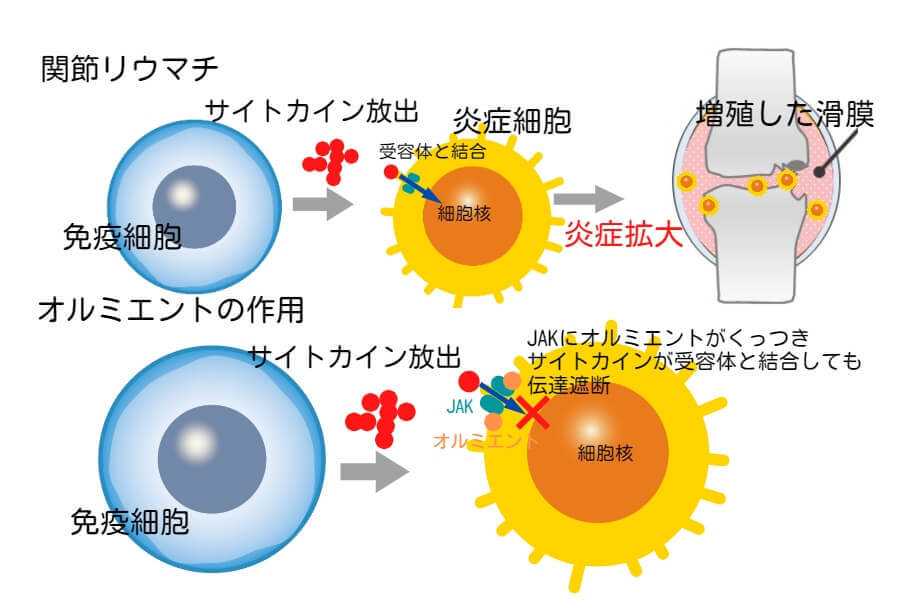 バリシチニブ（オルミエント）の作用について