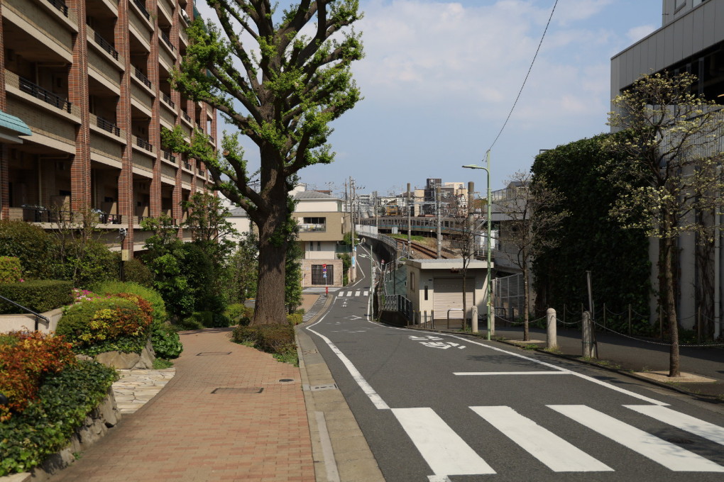 東京リウマチクリニック　大岡山駅からのご案内2